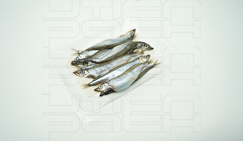 多春鱼贴体包装解决方案