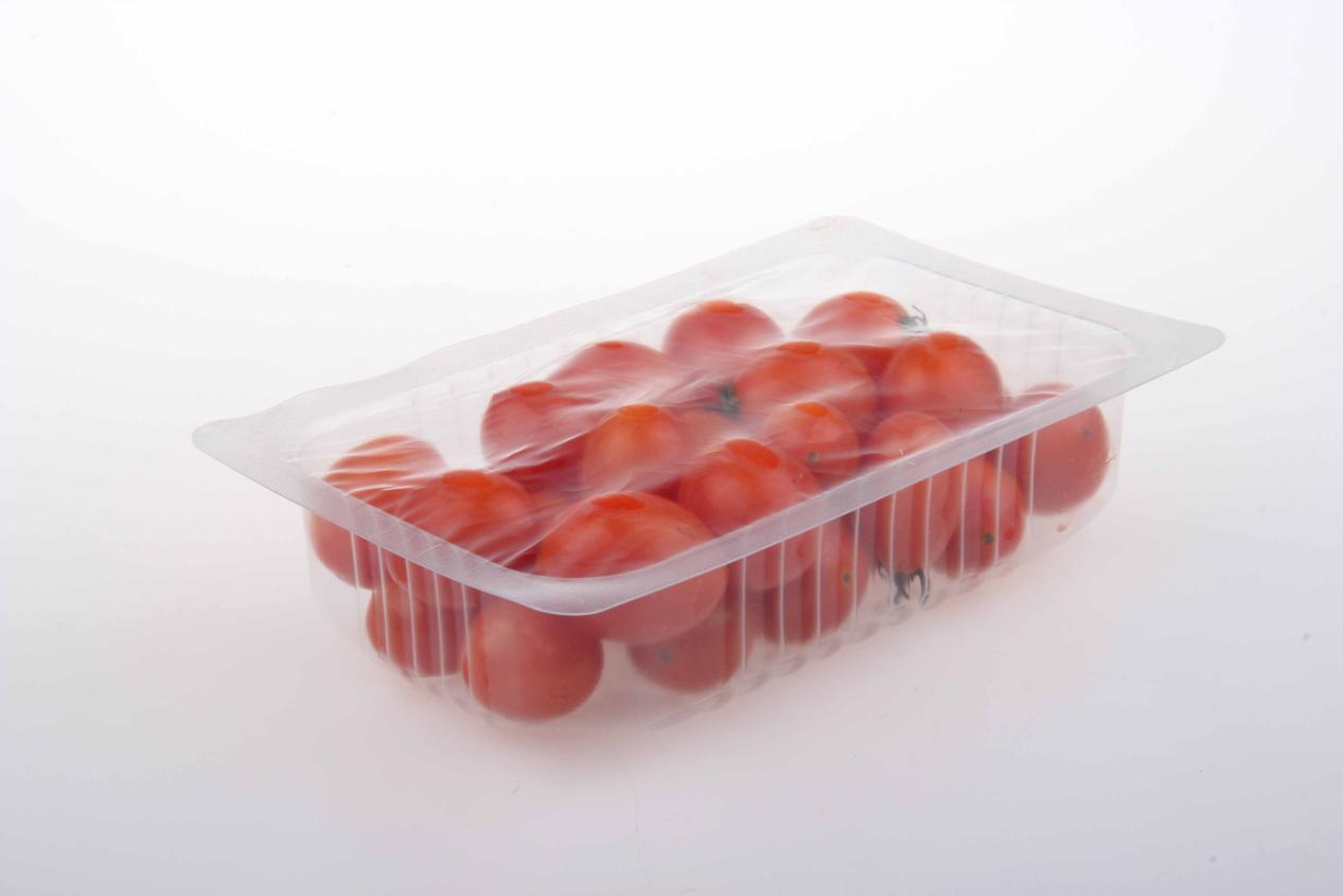 微信图片_20251121151936_393_260