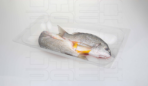 整鱼贴体包装解决方案