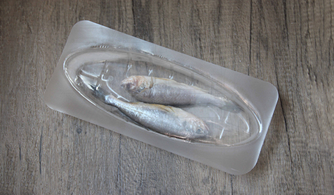 整鱼气调包装解决方案